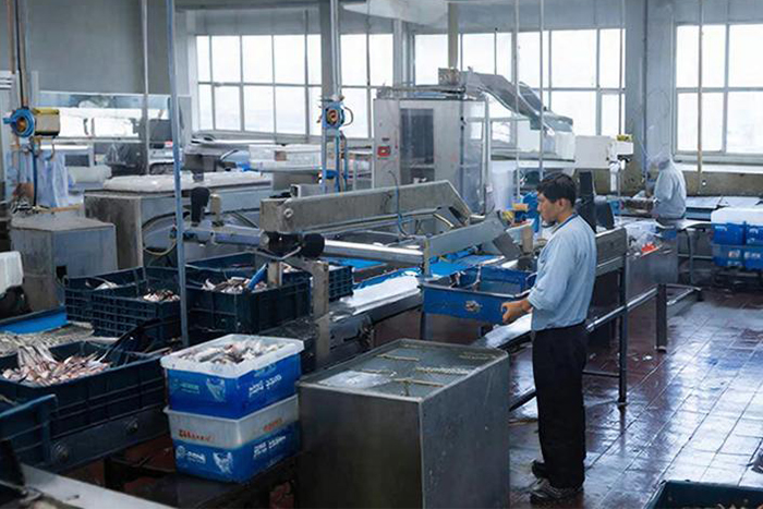 Вентиляция в цехах рыбзавода