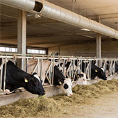 Мы работаем с агрообъектами Мы работаем с агрообъектами